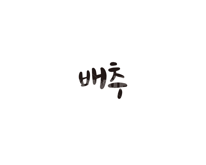 캘리,야채,채소,배추,캘리그라피,손글씨,그래픽,일러스트레이션,graphic,illustration,캘리그라피,손글씨,calligraphy