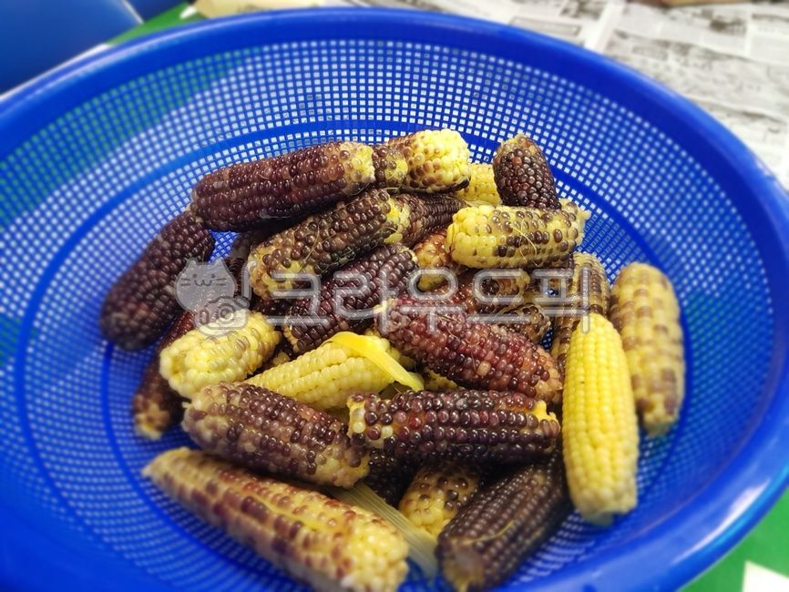 waxy corn,snack,summer snack,boiled corn,summer food