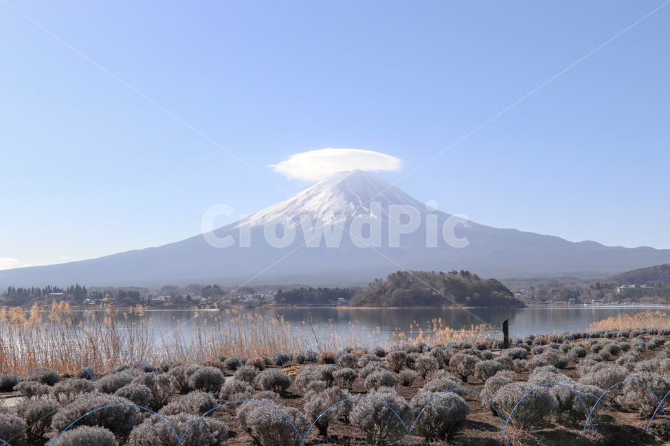 일본,시즈오카,후지산,가와구치코,자연,자연,풍경,nature,landscape,해외,외국,세계,foreign,oversea,world,세계자연풍경,해외자연풍경,외국자연풍경,world nature landscape,outdoors,옥외,mountain,산,mountain range,산맥