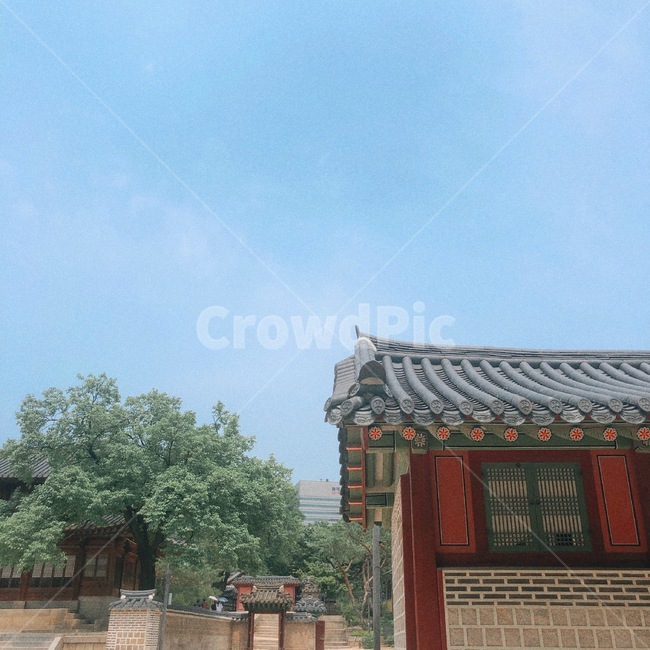 덕수궁,궁,동양,서울궁,여름,하늘,한국전통,한국문화,korean traditional,korean culture,건축물,건물외관,exterior,building,structure,architecture,construction