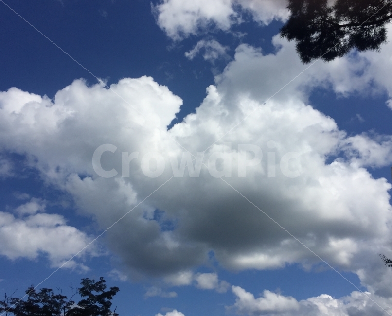 가을,하늘,풍경,구름,landscape,가을하늘,자연,풍경,nature,landscape,outdoors,옥외,sky,weather,날씨,cloud,cumulus,적운