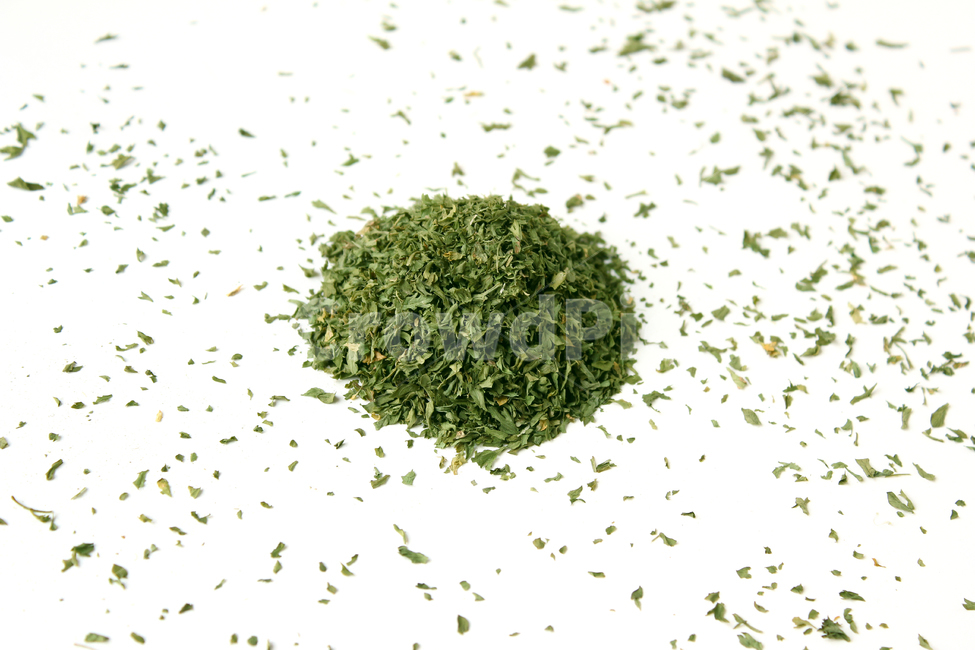 parsley,dryparsley,powder,파슬리,파슬리가루,파슬리잎,가루,요리재료,식재료,이탈리안,말린,마른,말린잎,closeup,cooking,driedparsley,dry,food,italian,leaf,parsleyleaf,plant,topview,양념,더미,dummy,group,덩어리,모여있는,탑앵글,흰배경,음식,식재료,요리,food,cook,meal,dishes,food reserves,누끼,remove background