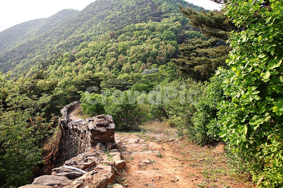 성,전등사,전등사성곽,돌담,숲길,자연,배경,풍경