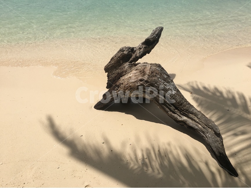 필리핀,코론,바다,파도,에메랄드빛,나무,그림자,물빛,고운모래,고요,한적,wave,tree,sand,해변,바다,beach,sea