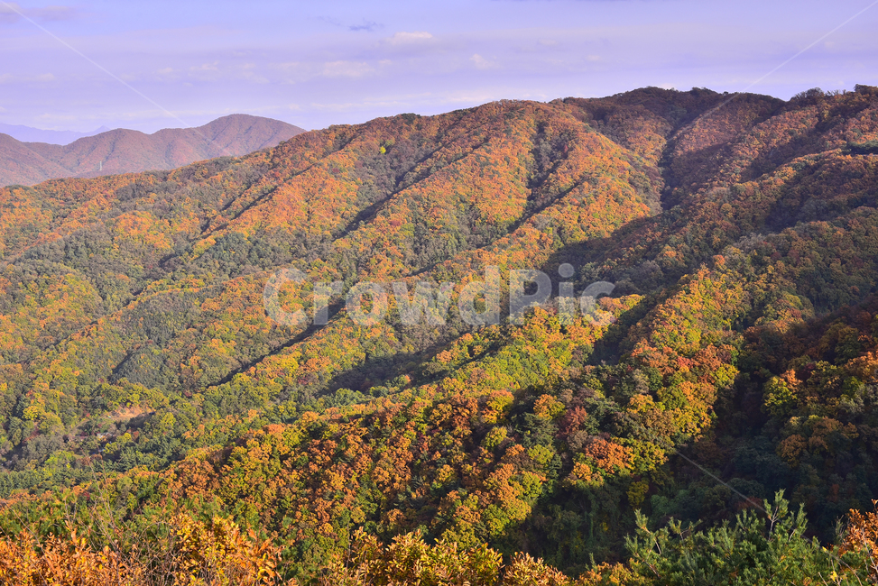 가을,가을풍경,자연,가을배경,fall,autumn,season,가을단풍,nature,outdoors,옥외,산맥,mountain,mountainrange,가을산,배경,바탕,백그라운드,background,시즌,계절,골짜기,가을분위기,찬란한,형형색색,칼라풀,colorful,산,능선,봉우리,가을,계절,fall,autumn,season,자연,풍경,nature,landscape,한국자연풍경,한국자연경관,korea nature landscape,mountain range