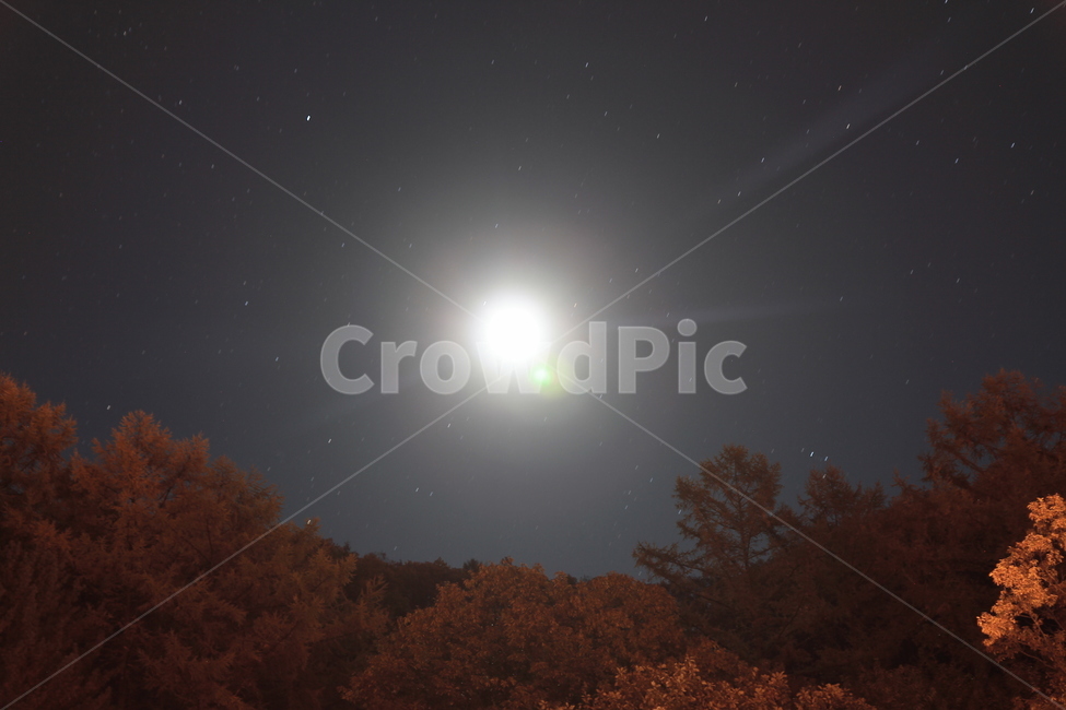 nature,자연,outdoors,달빛,야경,밤하늘,야경,밤,풍경,nightscape,night,landscape