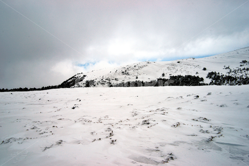 한라산,제주도,영실코스,설경,눈,겨울,설화,겨울,계절,winter,season