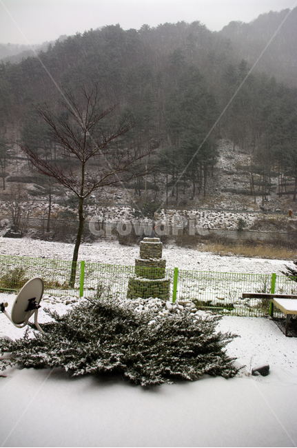 겨울,나무,풍경,산,눈,겨울,계절,winter,season