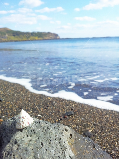 제주도,바다,조개,파도,파란,자연,풍경,nature,landscape,해변,바다,beach,sea,감성,sensible,feeling
