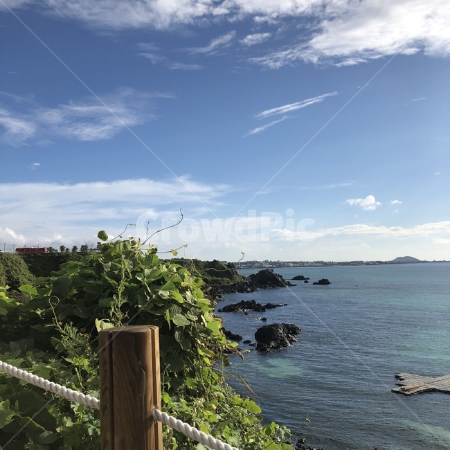제주도,바다,풍경,하늘,구름,자연