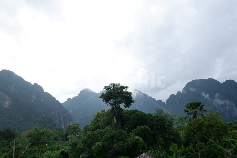 nature,자연,안개,나무,운무,자연,풍경,nature,landscape