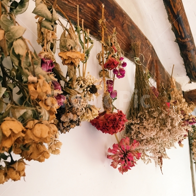 꽃,플라워,flower,드라이플라워,한옥,감성,낭만,데이트,식물,자연,plants,nature,꽃,flower,인테리어,실내디자인,interior design