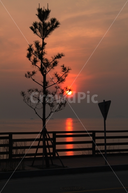 노을,태양,제부도,화성,바다,저녁,열매,붉음,빨강,자연,풍경,nature,landscape,실루엣,그림자,silhouette,shadow,railing,난간