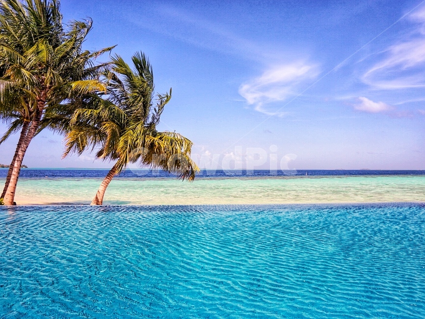 tropical,summer,여름,몰디브,야자수,여름,계절,summer,season,자연,풍경,nature,landscape,해변,바다,beach,sea,해외,외국,세계,foreign,oversea,world,세계자연풍경,해외자연풍경,외국자연풍경,world nature landscape