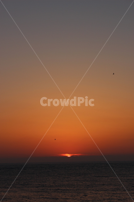 일몰,제주도,해질녘,바다,제주도일몰,노을,태양,자연,풍경,nature,landscape,outdoors,옥외,dusk,황혼,sunset,sky,하늘,dawn,새벽,red sky,붉은 하늘