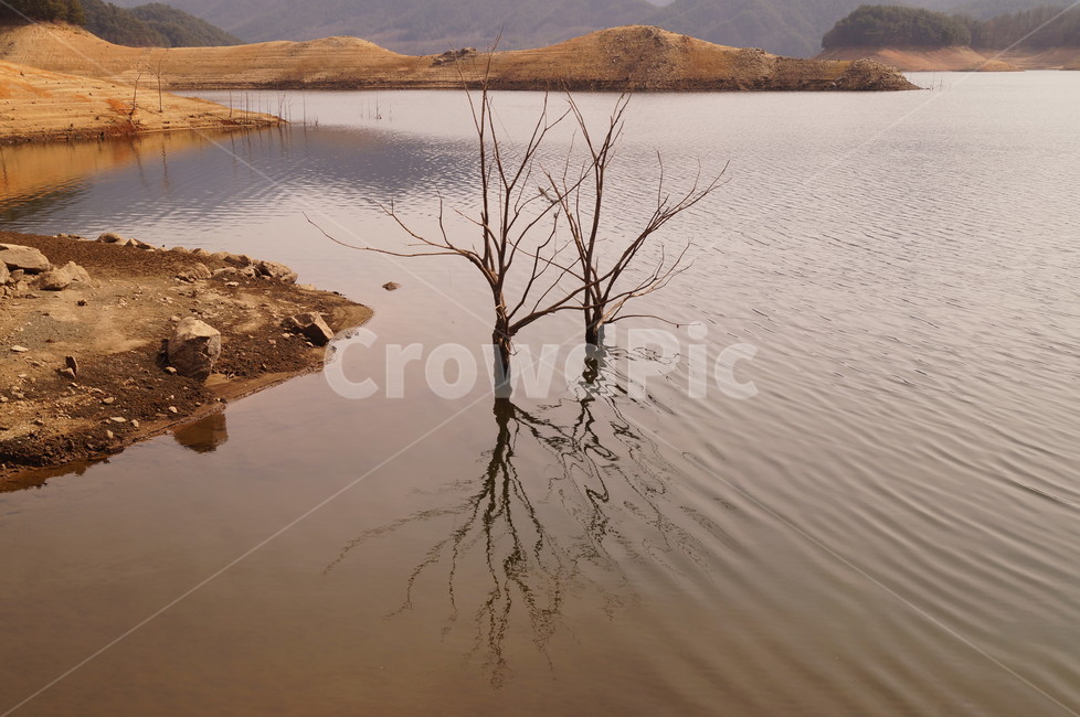 풍경,호수,나무,물그림자,호,자연,자연,풍경,nature,landscape,식물,plants,나무,trees,wood,soil,흙,outdoors,옥외,sand,모래,land,땅