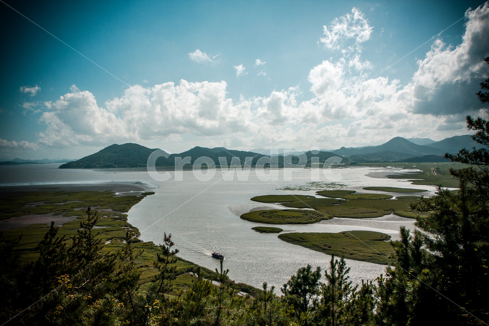 outdoors,옥외,nature,tree,식물,plant,물,water,자연,나무,순천만
