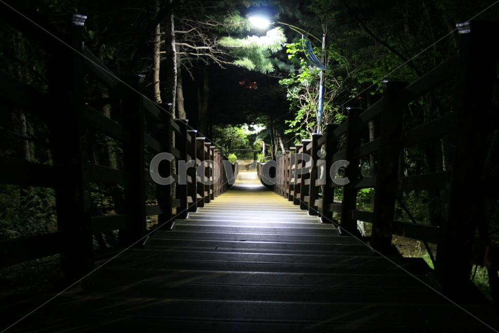 공원,야경,초록색,다리,한적함,길,빛,자연,풍경,nature,landscape,야경,밤,nightscape,night,garden,정원,outdoors,옥외,arbour,정자
