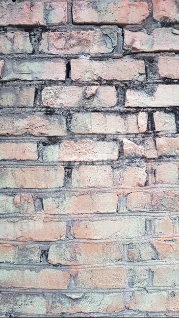 red,vintage,redbricks,bricks,wall,텍스처,질감,패턴,texture,pattern