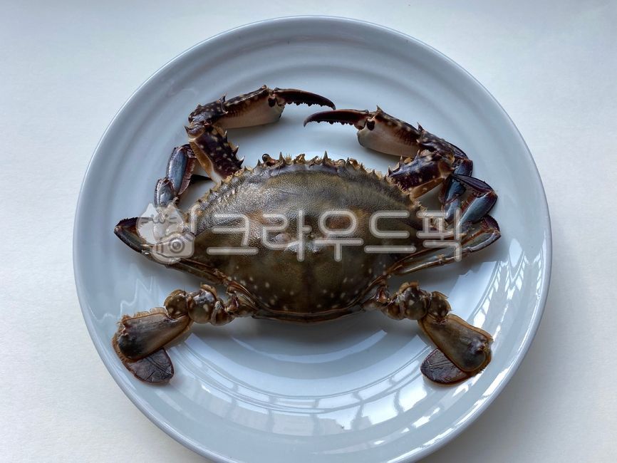 꽃게,간장게장,게장,음식,food,접시,갑각류