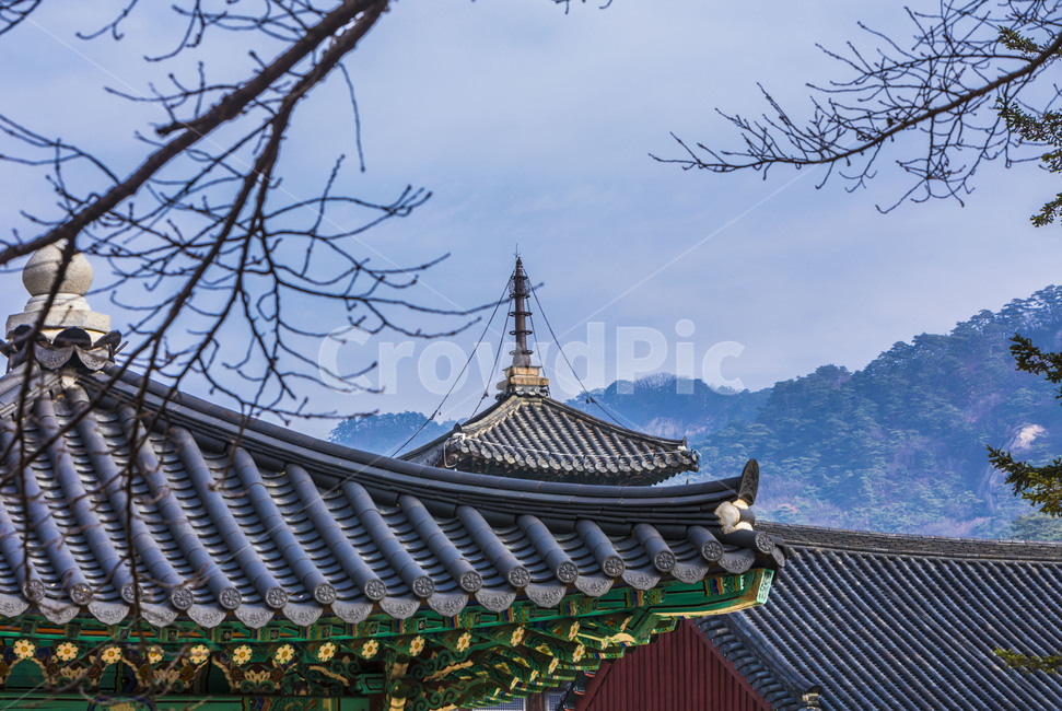 법주사,사찰,문화유산,관광지,팔상전,고찰,문화재,세계문화유산,기와,한국전통,한국문화,korean traditional,korean culture,건축물,건물외관,exterior,building,structure,architecture,construction