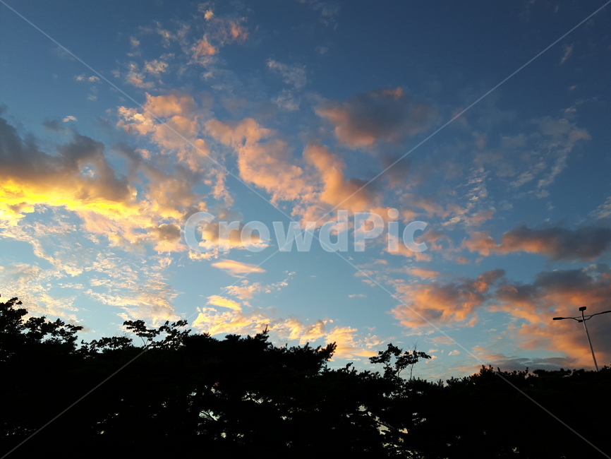 하늘,구름,나무,풍경,자연,자연,풍경,nature,landscape,outdoors,옥외,sky,cloud,weather,날씨,cumulus,적운