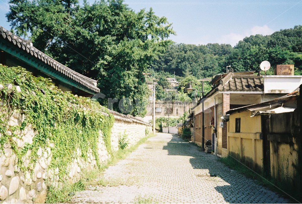 전주,골목,동네,기와,한옥,여름,오래된,골목길,alley,한국전통,한국문화,korean traditional,korean culture,walkway,보도,path,통로,flagstone,판석,pavement,포장,sidewalk