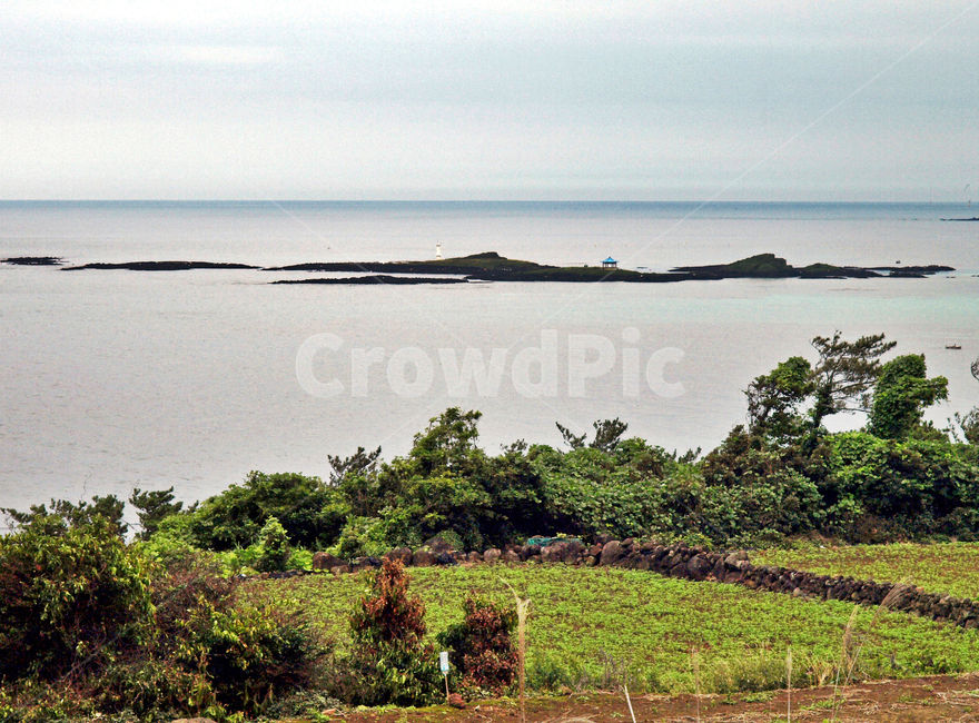 다려도,달여도,제주,올레19코스,올레길,바다,자연,풍경,nature,landscape,outdoors,옥외,land,땅,ocean,대양,sea,water,물,shoreline,해안선