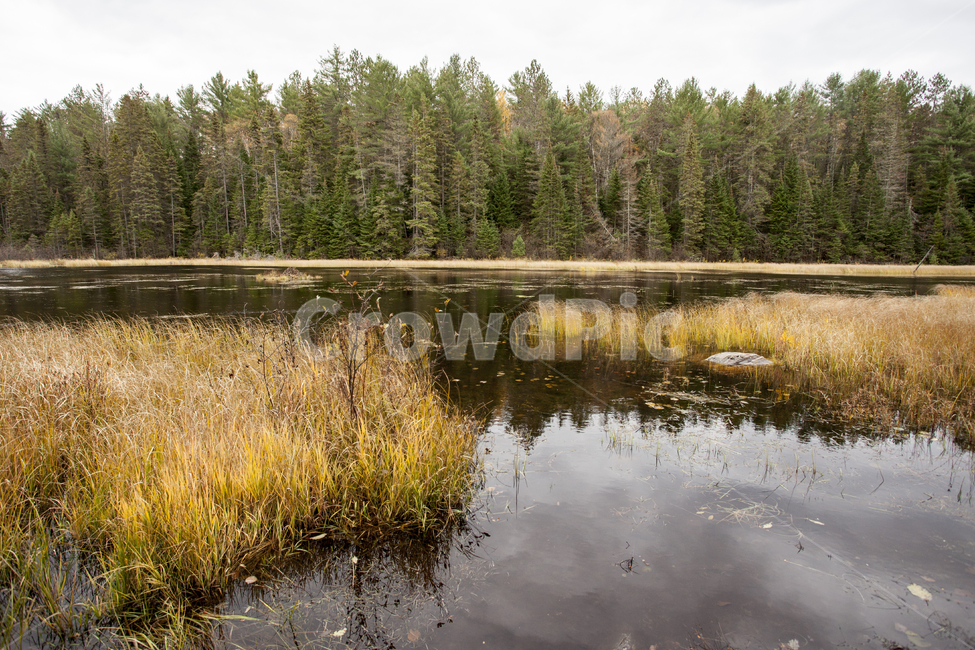 캐나다,알곤퀸,공원,단풍,호수,국립공원,단풍나무,옥외,outdoors,nature,자연,water,물,canada,무스코카,muskoka