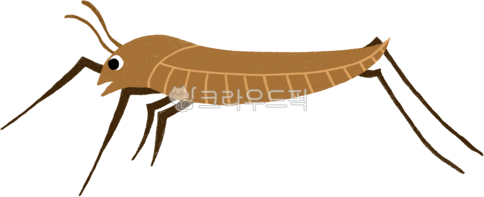 bug,cute insect,Water strider,insect,insect illustration,insect character,waterstrider