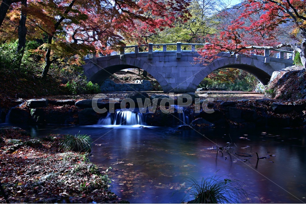 선운사도솔천,도솔천,선운사,선운사단풍,가을단풍,감성,가을풍경,landscape,scenery,view,autumnscene,작은폭포,돌다리,가을,계절,fall,autumn,season,water,물,outdoors,옥외,nature,자연
