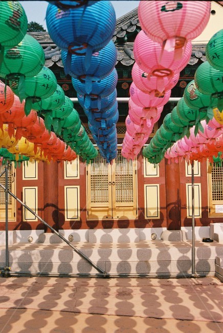 절,연등,건물,사찰,행사,그림자,대비,종교,신앙,religion,belief,faith