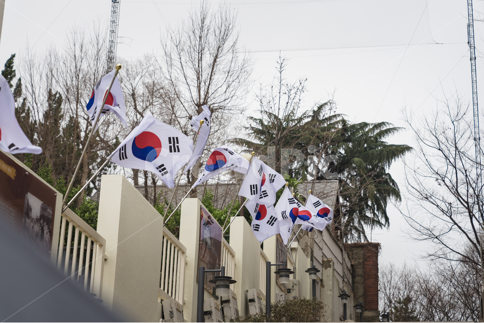 태극기,대한민국,31절,대구,대구근대거리,거리풍경,풍경