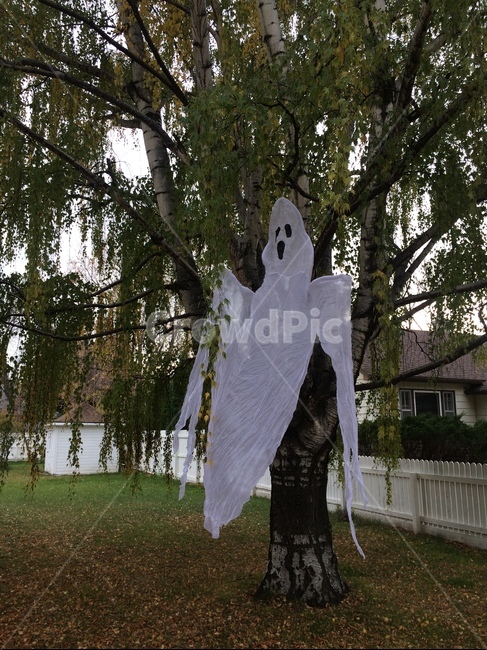 할러윈,핼러윈,고스트,유령,halloween