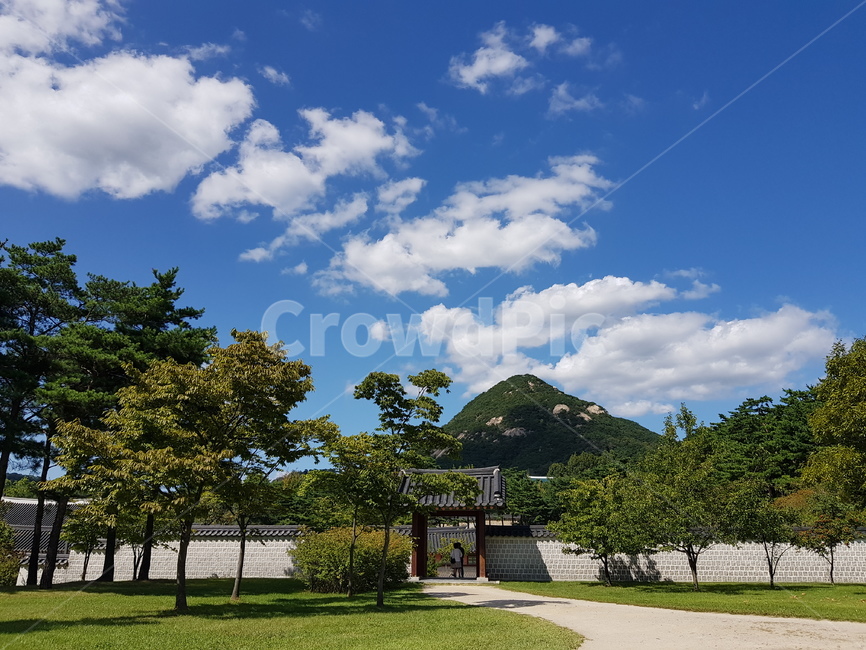 봄,소나무,경복궁,구름,하늘,산,푸른하늘,가을하늘,화창한,맑은,날씨,나들이,나무,pinetree,sky,sunny,landscape,forest,자연,풍경,koreantraditional,koreanculture,랜드마크,landmark,한국랜드마크,한국관광지,한국명소,korealandmark,korea,tourist,attraction,건축물,건물외관,exterior,building,structure,architecture,construction,랜드마크,landmark,tourist attraction,한국랜드마크,한국관광지,한국명소,korea landmark,korea tourist attraction