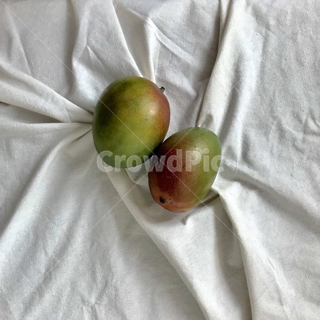 망고,과일,mango,애플망고,태국망고,음식,식재료,요리,food,cook,meal,dishes,food reserves,과일,열매,fruit