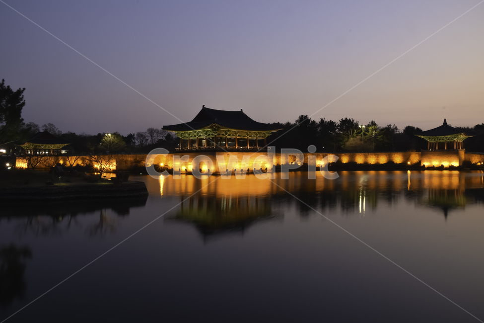 동궁과월지,경주,안압지,야경,건축물,architecture,building