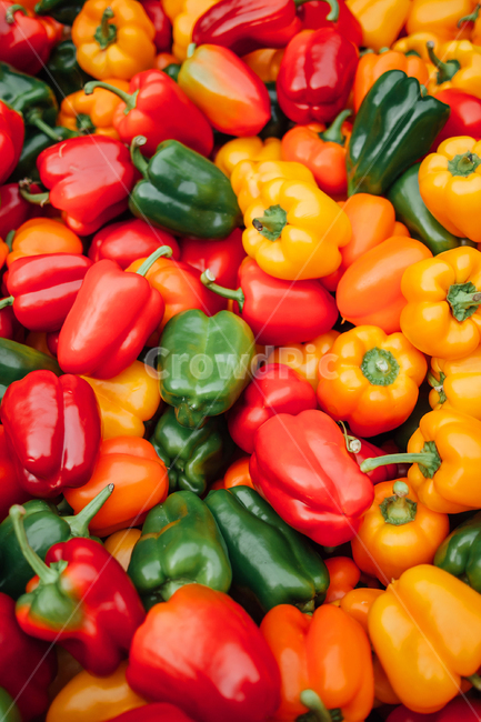 plant,식물,파프리카,피망,색,color,야채,채소,paprika,vegetable,green,red,yellow,음식,식재료,요리,food,cook,meal,dishes,food reserves,채소,야채,vegetables