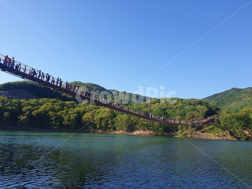 출렁다리,풍경,여름,파주,강