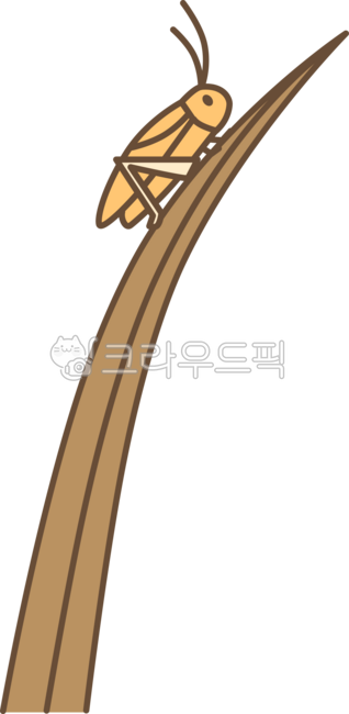 귀뚜라미,자연,갈색,귀여운,생물,메뚜기,곤충,가을