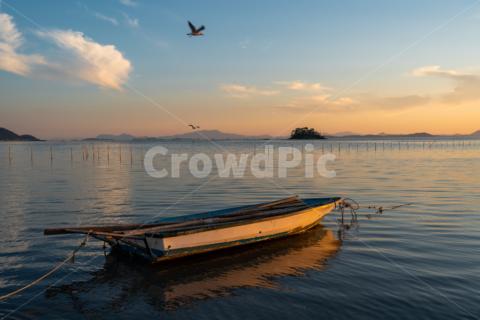 일몰,sunset,새,bird,바다,구름,cloud,붉은노을,redsky,nature,자연,노젓는배,자연,풍경,nature,landscape,동물,animal,조류,새,birds
