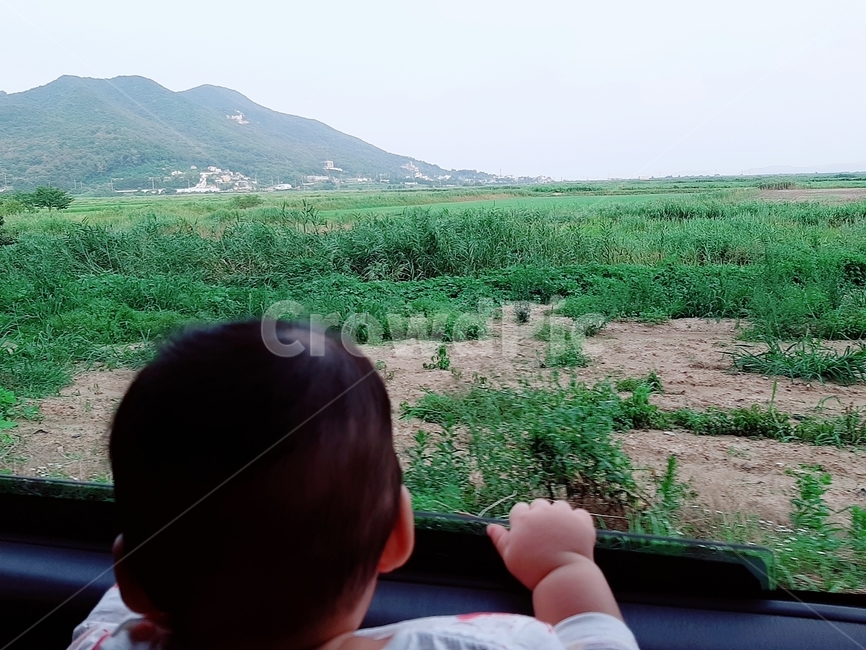 아기,풍경,자연,창가,밖을보는아이,아이뒷모습,뒷모습,사람,밭,풀