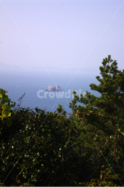 바다,섬,풍경,나무,하늘,자연,풍경,nature,landscape,land,땅,outdoors,옥외,water,물,sea,ocean,대양,shoreline,해안선,weather,날씨