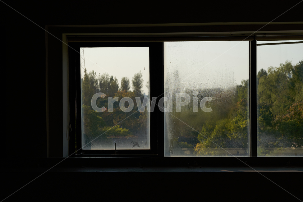 window,창문,homedecor,햇살,나무,산,건축물,건물외관,exterior,building,structure,architecture,construction