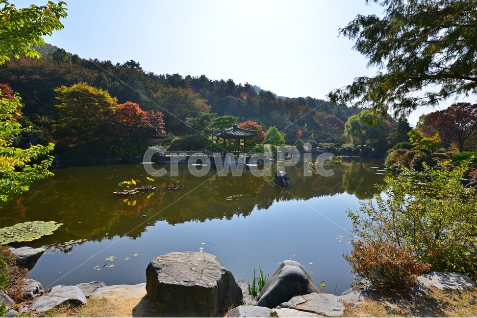 nature,자연,outdoors,옥외,architecture,건축물,water,물,plant,식물,tree,나무,현충원,국립현충원,국립,현충지,추색,가을,계절,만추,단풍,단풍잎,반영,정자,경치,경관,풍경