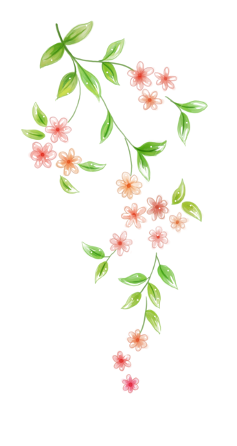 꽃,꽃일러스트,일러스트,꽃잎,꽃이미지,잎,수채화,꽃그림,art,미술,graphics,plant,식물,floraldesign,플로랄디자인,그래픽,일러스트레이션,graphic,illustration