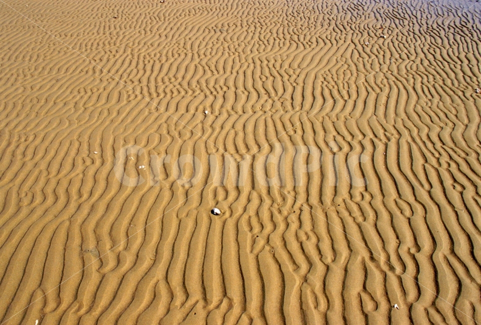 바닷가,모래밭,백사장,흔적,패턴,해안,해수욕장,서해안,sns,sand,seaside,ebook,pattern,texture,바다,여름,파문,바탕,백그라운드,시안,디자인,콘텐츠,텍스쳐,모바일,웹,전단,마케팅,라인,background,텍스타일,자연,무늬,추상,형상,굴곡,색감,컨셉,컨셉트,콘셉,콘셉트,개념,생각,감성,느낌,필,feel,분위기,네추럴,natural,summer,자연,풍경,nature,landscape,해변,바다,beach,sea,텍스처,질감,패턴,texture,pattern,soil,흙,outdoors,옥외,모래,dune,모래 언덕