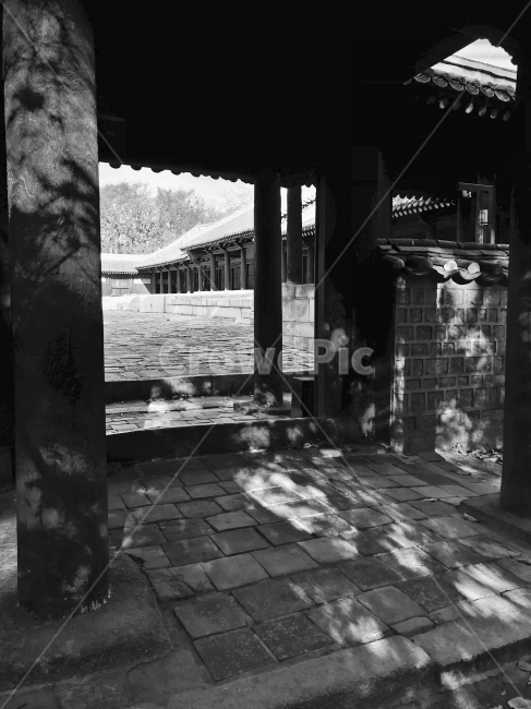 종묘,흑백,그림자,햇빛,고궁,한옥,아침,한국전통,한국문화,korean traditional,korean culture,랜드마크,landmark,tourist attraction,한국랜드마크,한국관광지,한국명소,korea landmark,korea tourist attraction,흑백,모노톤,monochrome,black and white,건축물,건물외관,exterior,building,structure,architecture,construction