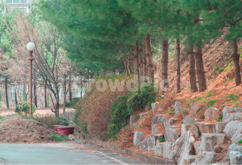공원,초록,나무,돌,길,자연,풍경,nature,landscape,tree,plant,식물,flagstone,판석