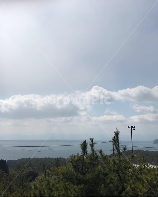 nature,자연,weather,날씨,tree,나무,plant,하늘,sky,하늘풍경,3월하늘,구름